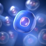Komórki macierzyste w rewitalizacji (cz.1)