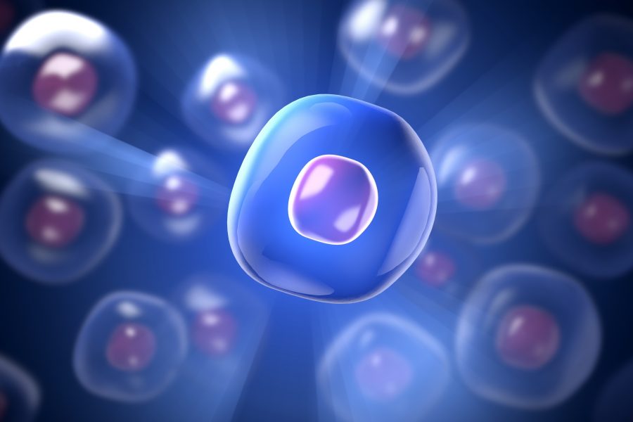 Komórki macierzyste w rewitalizacji (cz.1)