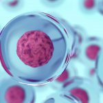Komórki macierzyste w rewitalizacji (cz.2)