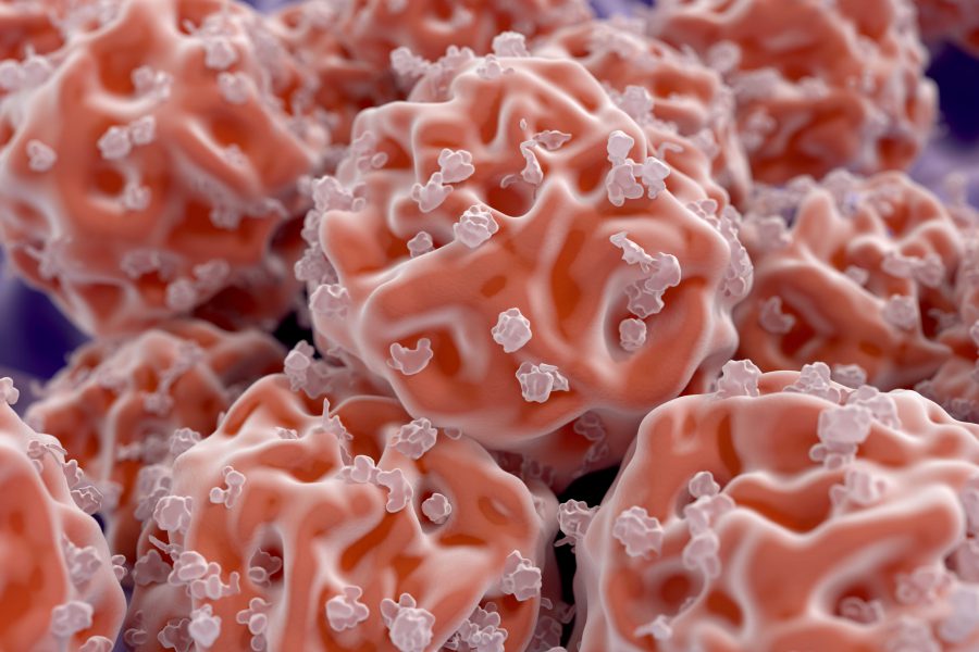 Zastosowanie komórek macierzystych pochodzących z tkanki tłuszczowej