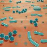 Bakterie zasiedlające ludzką skórę – prawidłowość czy patologia?