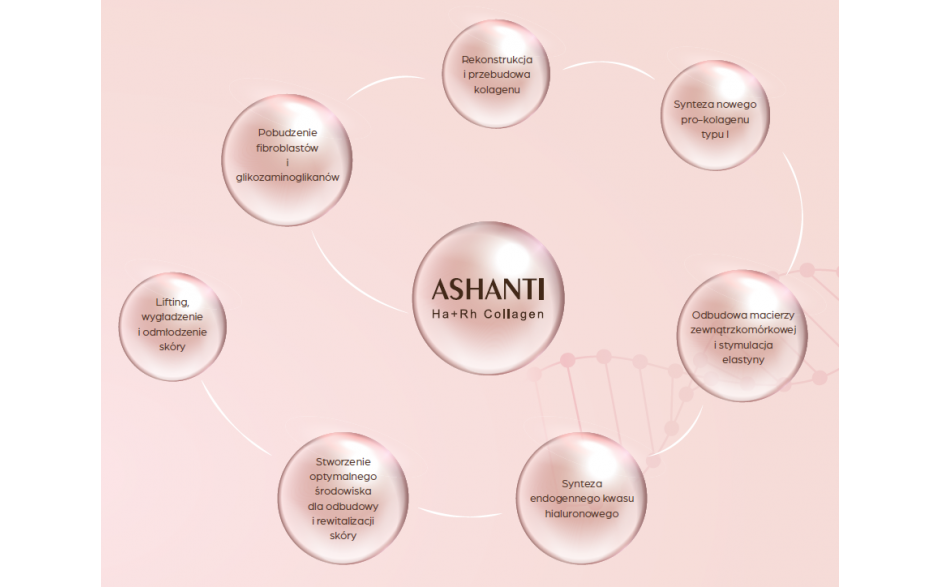 Ashanti Ha+Rh Collagen 1x2ml